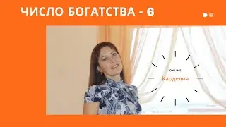 Число богатства 6