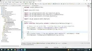 EP-8 Spring Boot JPA Query and Native Query Example