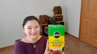 Miracle Gro All Purpose Fertilizer Water Soluble Review