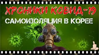 Хроники КОВИД-19: Прохождение карантина в Корее