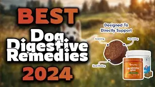 Top Best Dog Digestive Remedies in 2024 & Buying Guide - Must Watch Before Buying!