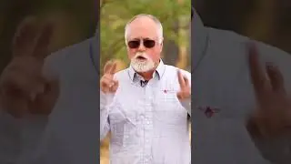Пчелосемья как единица селекции