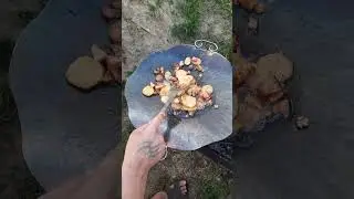 Садж из  диска бороны. Жарим картошку с салом.