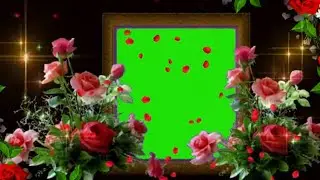 3D free Wedding Green screen effect video 2024 || Shaadi 4k green screen wedding photo slideshow