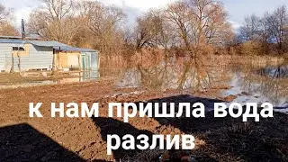 дача под водой,разлив реки паводок