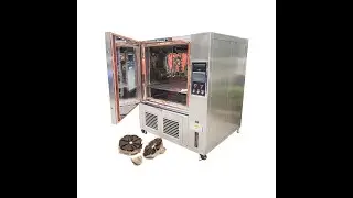 Healthy black garlic nachine fermenter fermenting making machine for sale