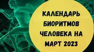 Биоритмы человека. Календарь биоритмов человека на март 2023. Как  поднять работоспособность?