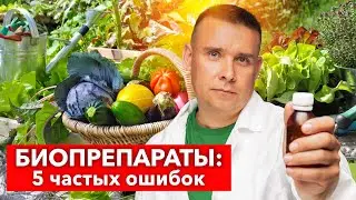 “ВСЁ ВЫ ВРЕТЕ - БИОПРЕПАРАТЫ НЕ РАБОТАЮТ!” Биолог рассказал, почему нет эффекта от биопрепаратов