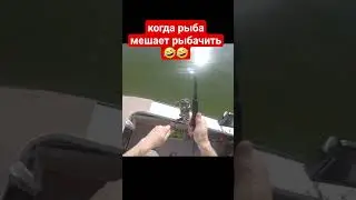 16 августа 2023 г.