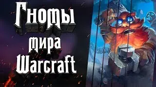 Гномы вселенной Варкрафт (Warcraft) - кто они? Где Живут? Как сражаются? С чем их едят?