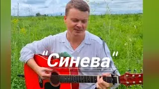 Расплескалась "Синева" (кавер под гитару)