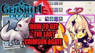 Genshin Impact HOW TO GET THE LAST CRIMSON AGATE