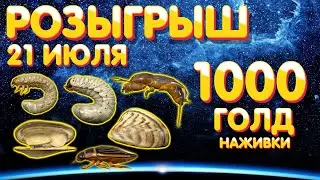 🎁 Розыгрыш 1000 голд наживки 🎯 21 июля 🎣 Русская Рыбалка 4