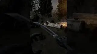 I'm Back to the Zone | Stalker Anomaly Gamma 