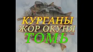 ЖОР ОКУНЯ НА ТОМИ ПЕРВЫЙ ЛЕД 2019