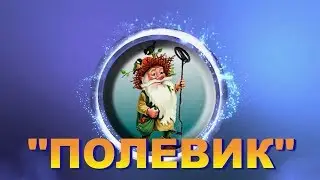 КЛАДОИСКАТЕЛЬ   ПОЛЕВИК -  ПОИСК ЗОЛОТА, СЕРЕБРА И МОНЕТ С МЕТАЛЛОИСКАТЕЛЕМ В ЛЕСУ НА ПОЛЕ ПОД ВОДОЙ