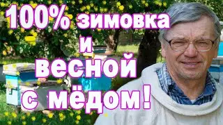 So prepare the families and 100%of the bees will overwinter and come up to spring with natural honey