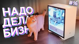 #НДБ
