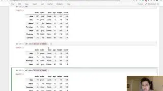 Selecting Subsets of Data from DataFrames with loc