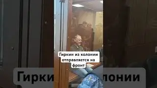 Гиркин из колонии отправляется на фронт