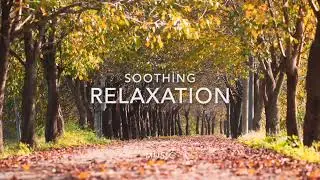 Soothing Piano Music for 7 hours to Relax your mind | Reduce Stress | help insomnia and deep sleep .