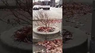 The smallest park in the world. A one min doc.