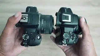 Perbedaan Mirrorless Canon EOS R100 dan R50