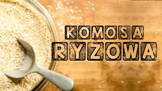 | ZDROWA KUCHNIA | #KOMOSA RYŻOWA