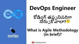 Coding in DevOps? What is SDLC? What is Agile?