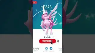 NEW SHINY LEGENDARY ORIGIN PALKIA!!! (Pokemon GO Sinnoh Tour 2024) 