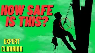 How to Make Sure Your Tree Climbing System NEVER Fails You.
