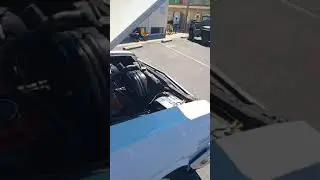 Impala san jose ca