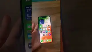 You can talk with Siri in Hindi