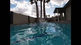 Swimming In Arizona