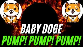 BABY DOGE Whales BUYING LARGE AMOUNTS Of BABY DOGE COIN! 📈