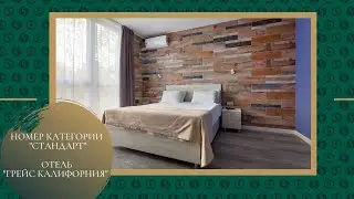 Обзор номера категории 