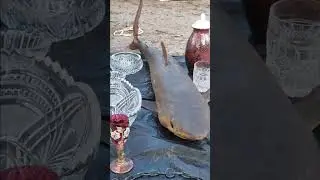 Новогодняя акула - Киев петровка   New Year's shark - Kyiv petrovka