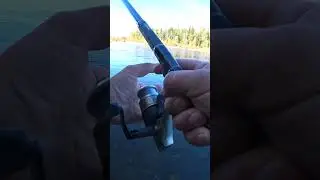 Рыбалка на таёжной реке.  
