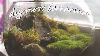 make a moss garden with me ✧ ~satisfying~
