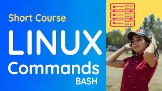 Linux Command Line and Bash with Cygwin: File Systems - 1 Hour!