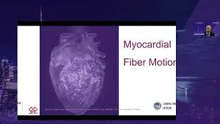 SAT 9 50 Jakob Labus – Assessing Fiber Motion with Strain