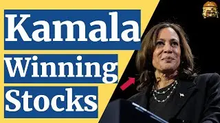 These are the stocks & sectors I thought would thrive under a Kamala administration
