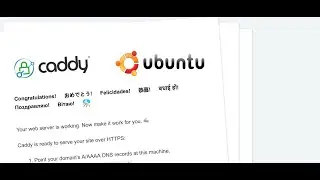 Install Caddy Web Server on Linux Ubuntu 24.04.01 LTS.