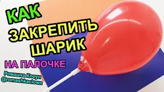 Как закрепить воздушный шарик на палочке-держателе How to Use a Balloon Cup Holder