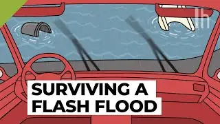 Everything You Need to Know During a Flash Flood