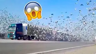 Вещи, Которые Вы Увидите Впервые в Жизни