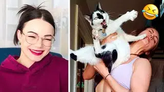 Funniest Cats And Dogs videos 2022  - Reaction to Best Funny Animals 😅