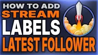 How to Add StreamElements Labels to Your Stream in 2025 | Setup Recent Follower, Recent Donation!