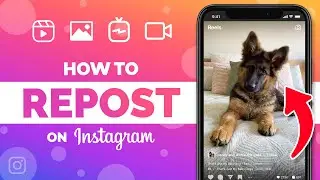 How to Repost Instagram Feed Posts, Stories, IGTV, and Reels (2022) Complete Reposting Guide