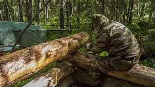 Хижина у реки. Быт на стройке в лесу. Встретил Бобра!